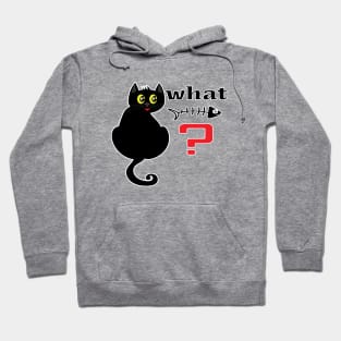 Meowtastic! Cat What? Black cat with his favorite things. Hoodie